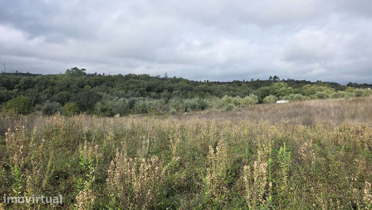 Terreno 18.800 m2, pequeno lago, com potencial para pomar ou agricultu - Grande imagem: 4/25