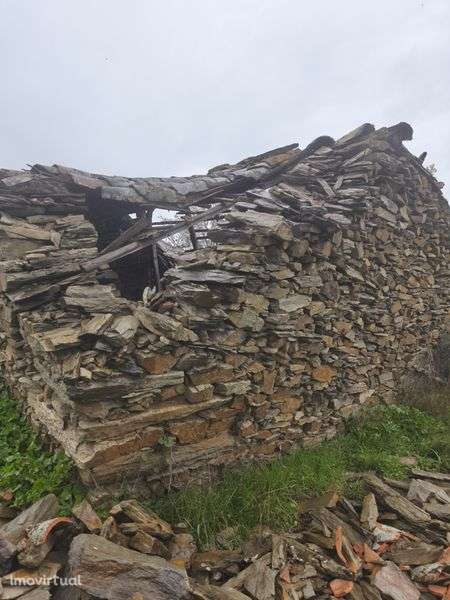 Terreno rústico em Moncorvo - Grande imagem: 3/8