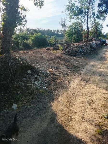 Alugo terreno bom - Grande imagem: 2/12