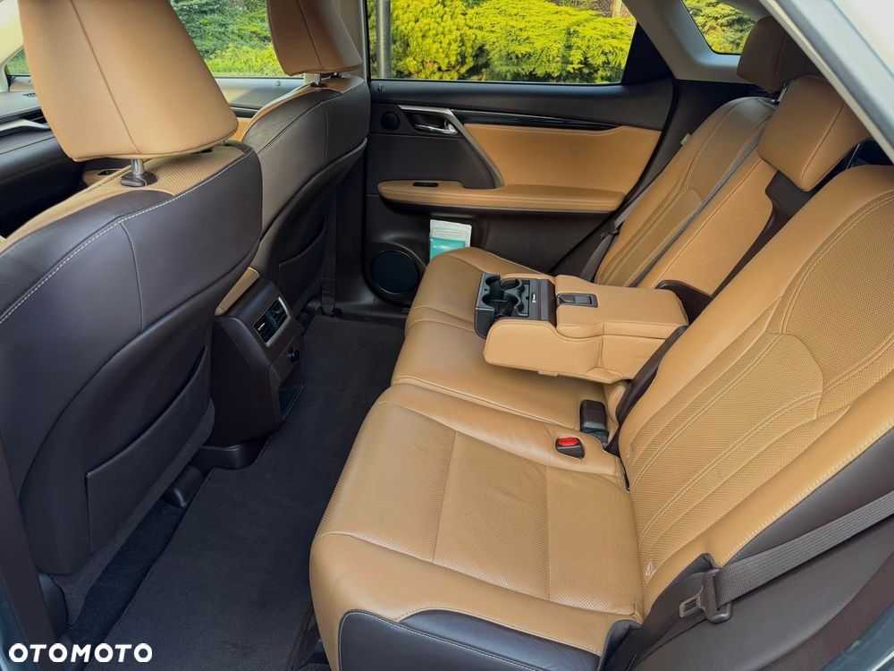 Lexus RX 200t / 300 Elegance - 12