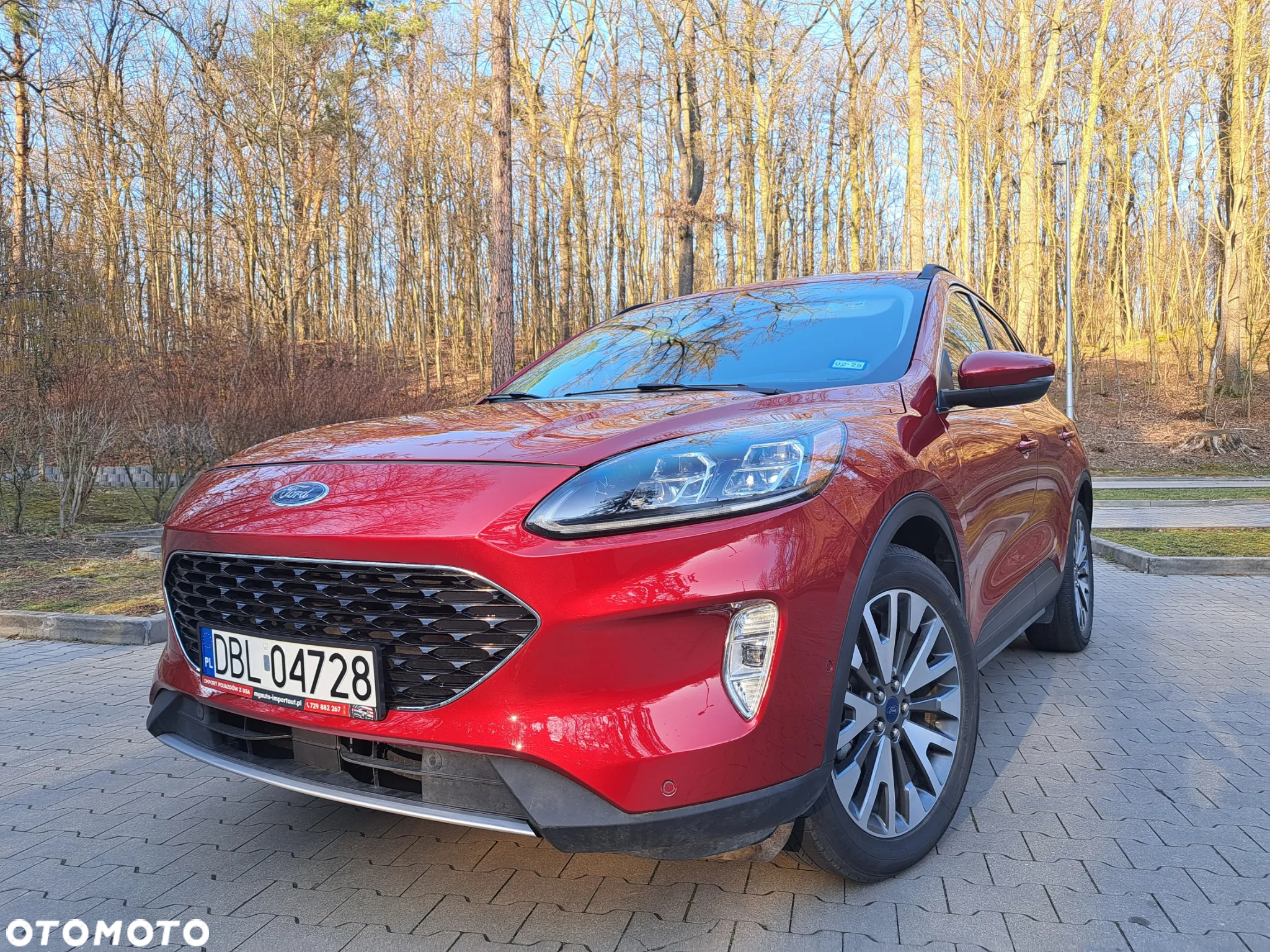Ford Escape - 3