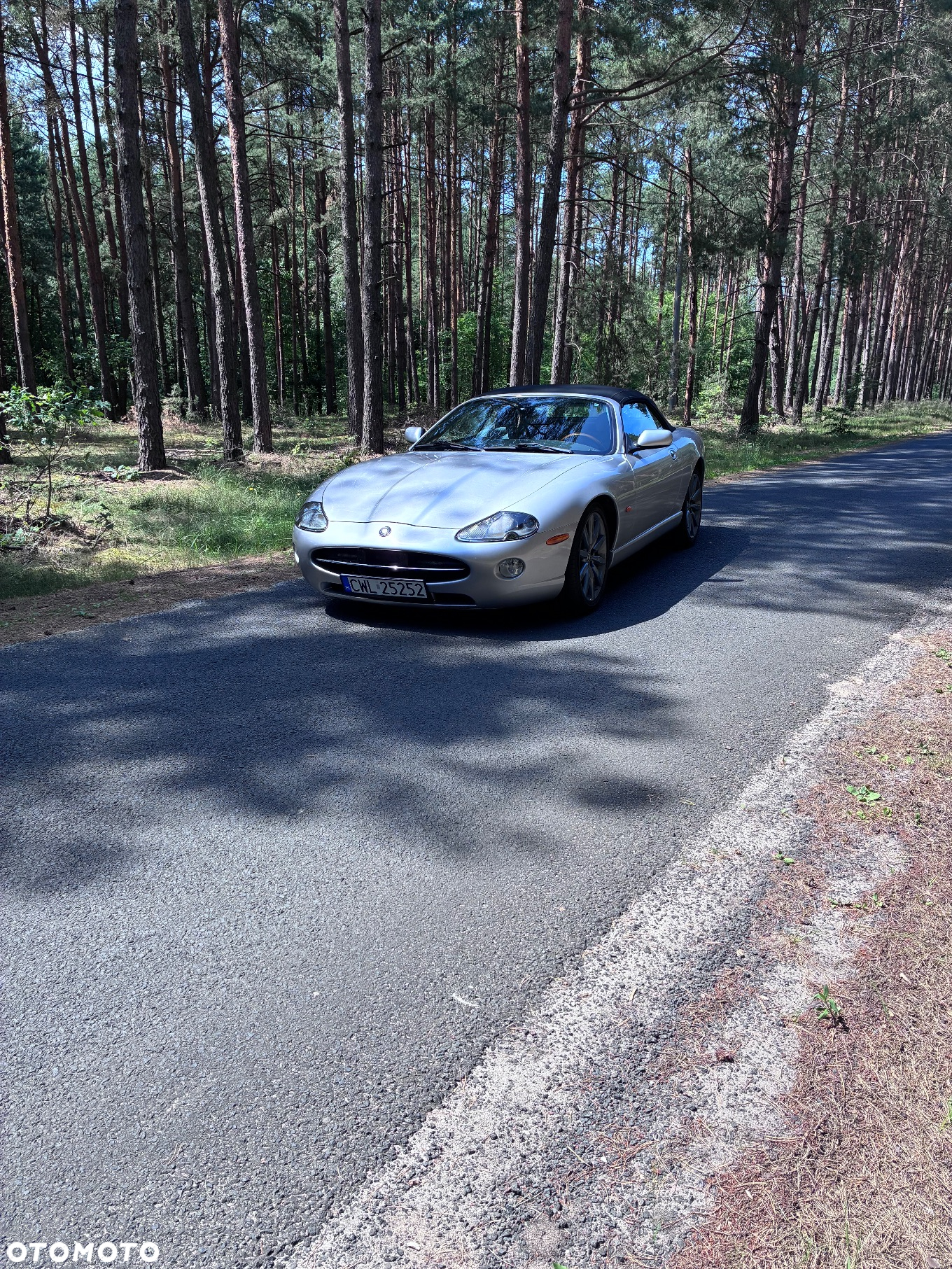 Jaguar XK8 Cabriolet - 14