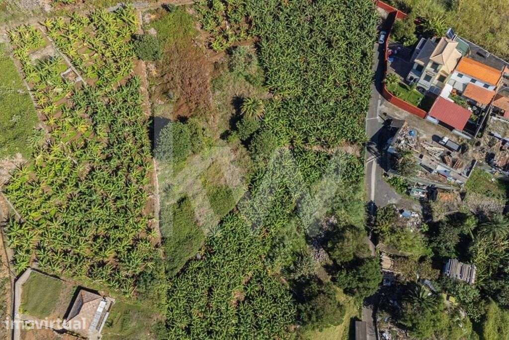 Terreno Urbanizável - 850m2 - São Martinho | Funchal - Grande imagem: 3/24