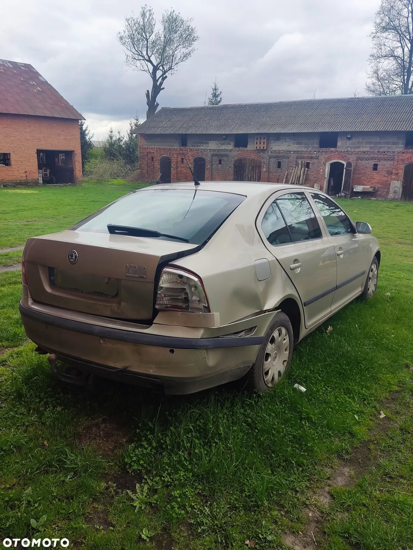 Skoda Octavia 1.9 TDI Elegance - 13