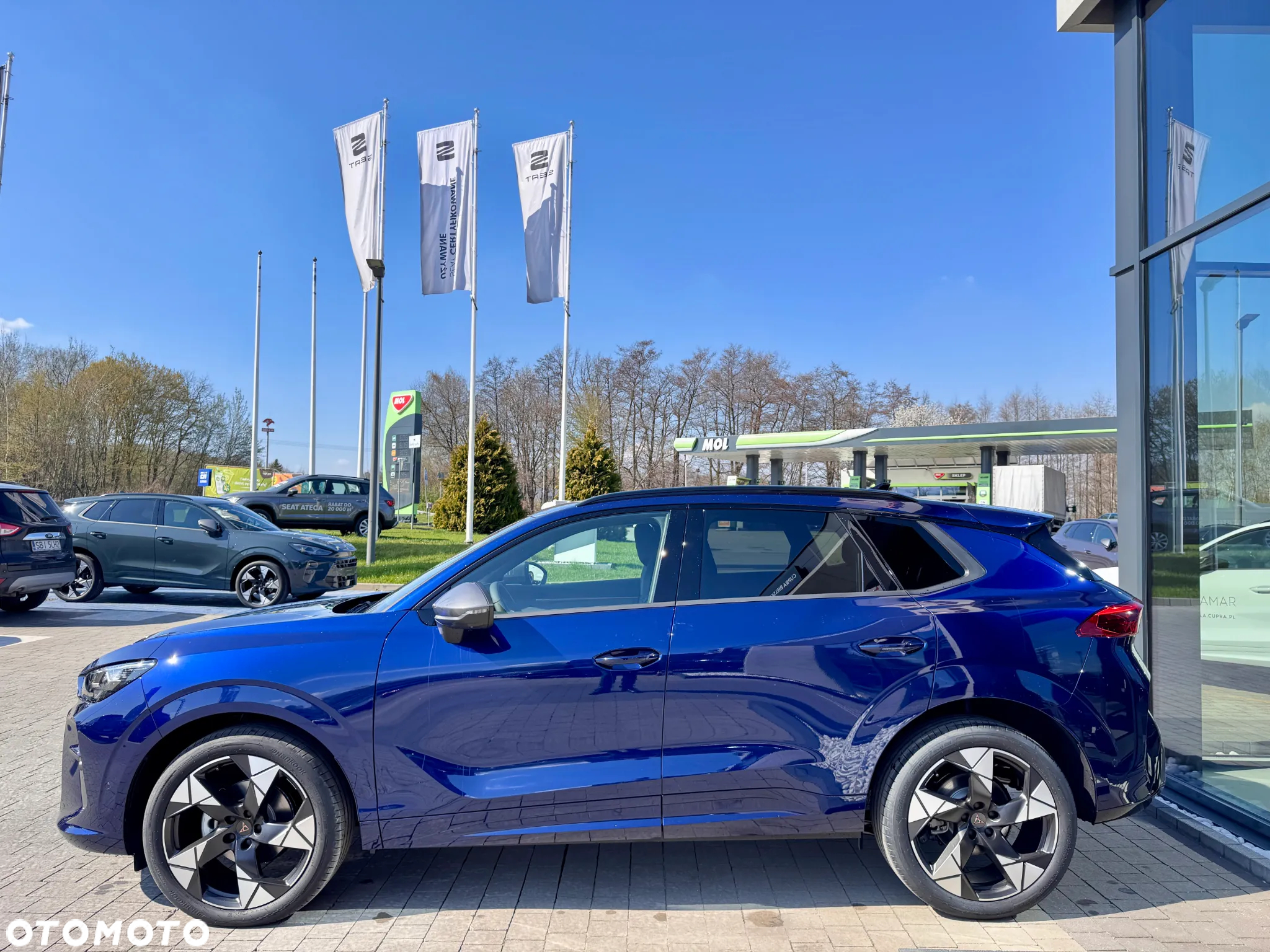 Cupra Terramar 1.5 eTSI mHEV DSG - 5