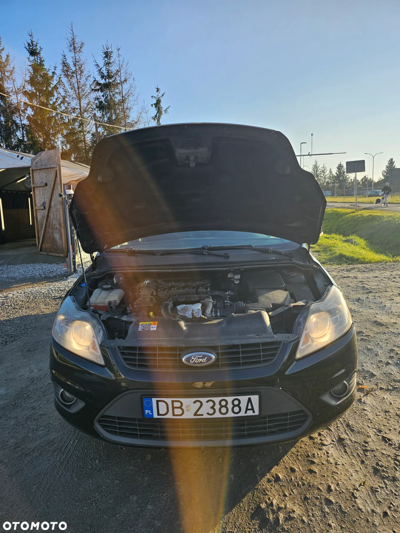 Ford Focus - 19