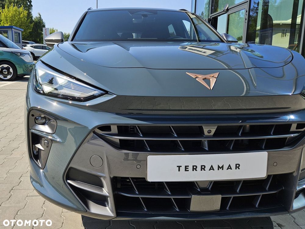Cupra Terramar - 3