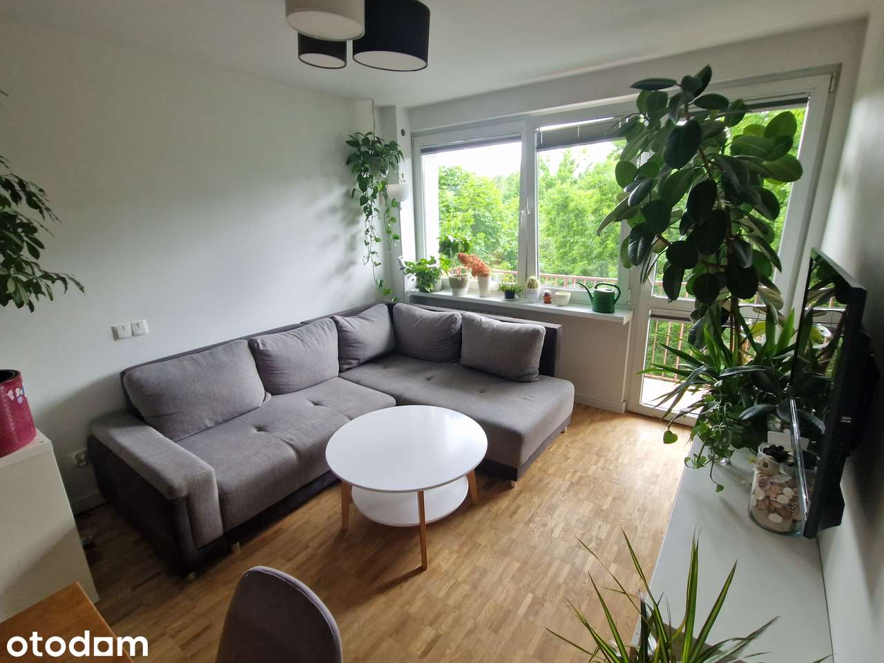 4 pokoje | 78 m² | po generalnym remoncie | Teofilów Rogatka