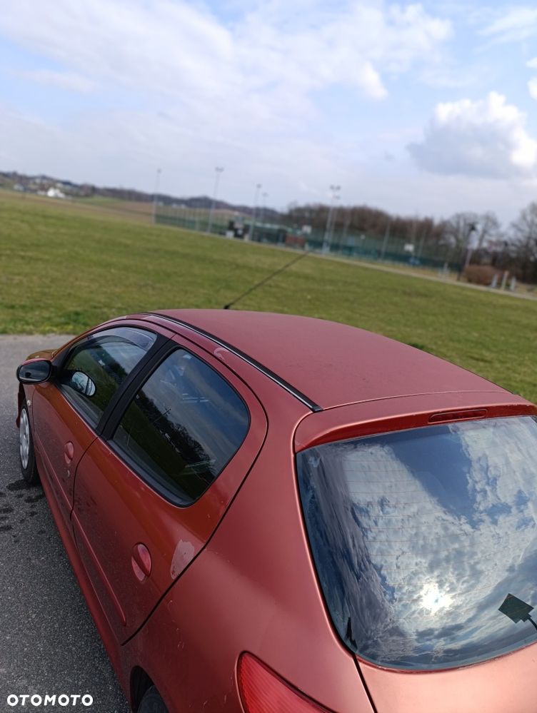 Peugeot 206 - 5