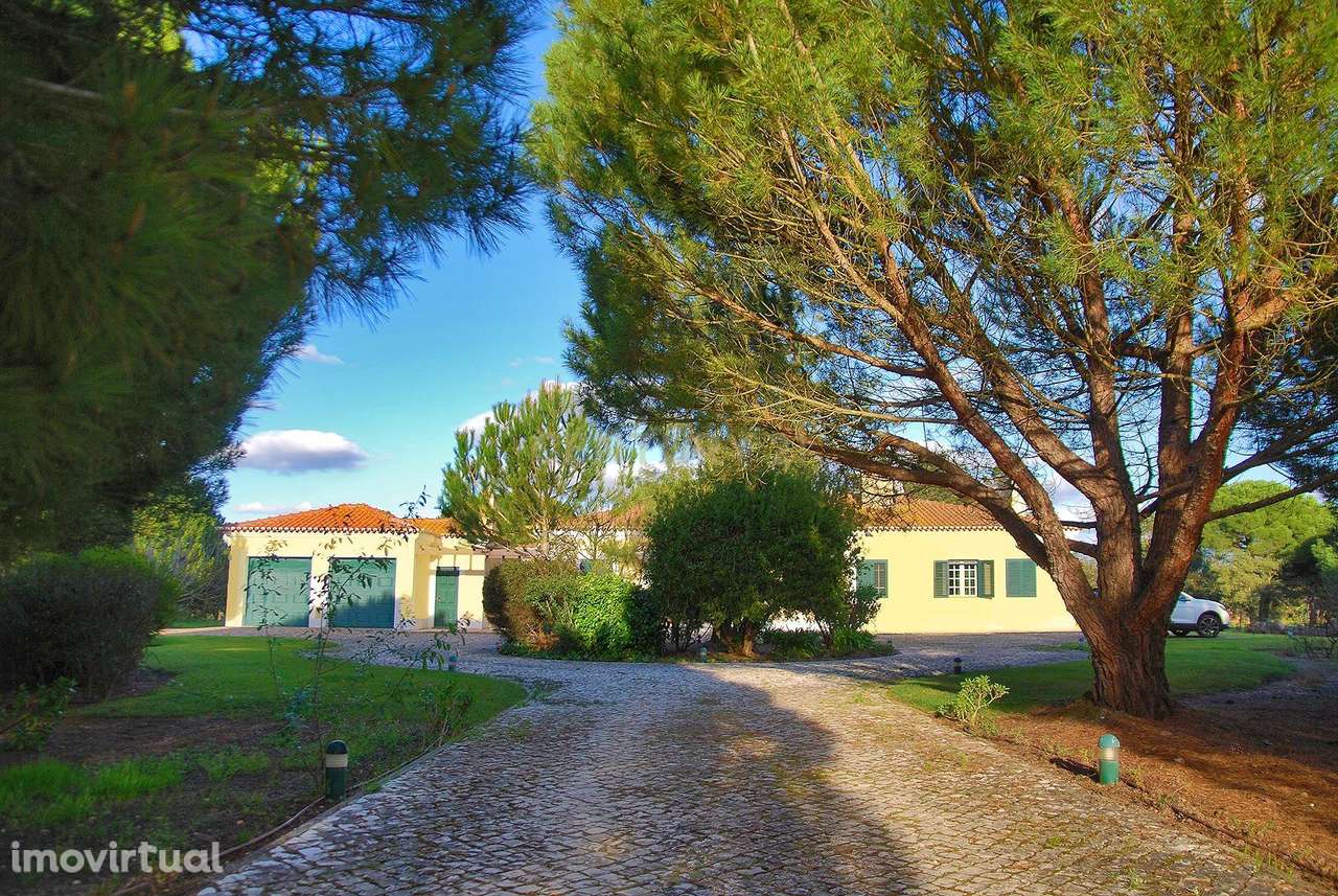 MORADIA TÉRREA | 4 QUARTOS | PISCINA | 20.000 m2 TERRENO | SANTO ESTEV - Grande imagem: 5/34