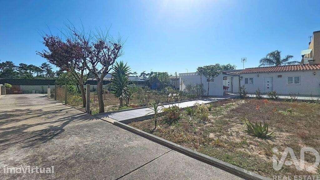 Casa rústica T3 em Ovar, São João, Arada e São Vicente de Pereira Jusã - Grande imagem: 4/19