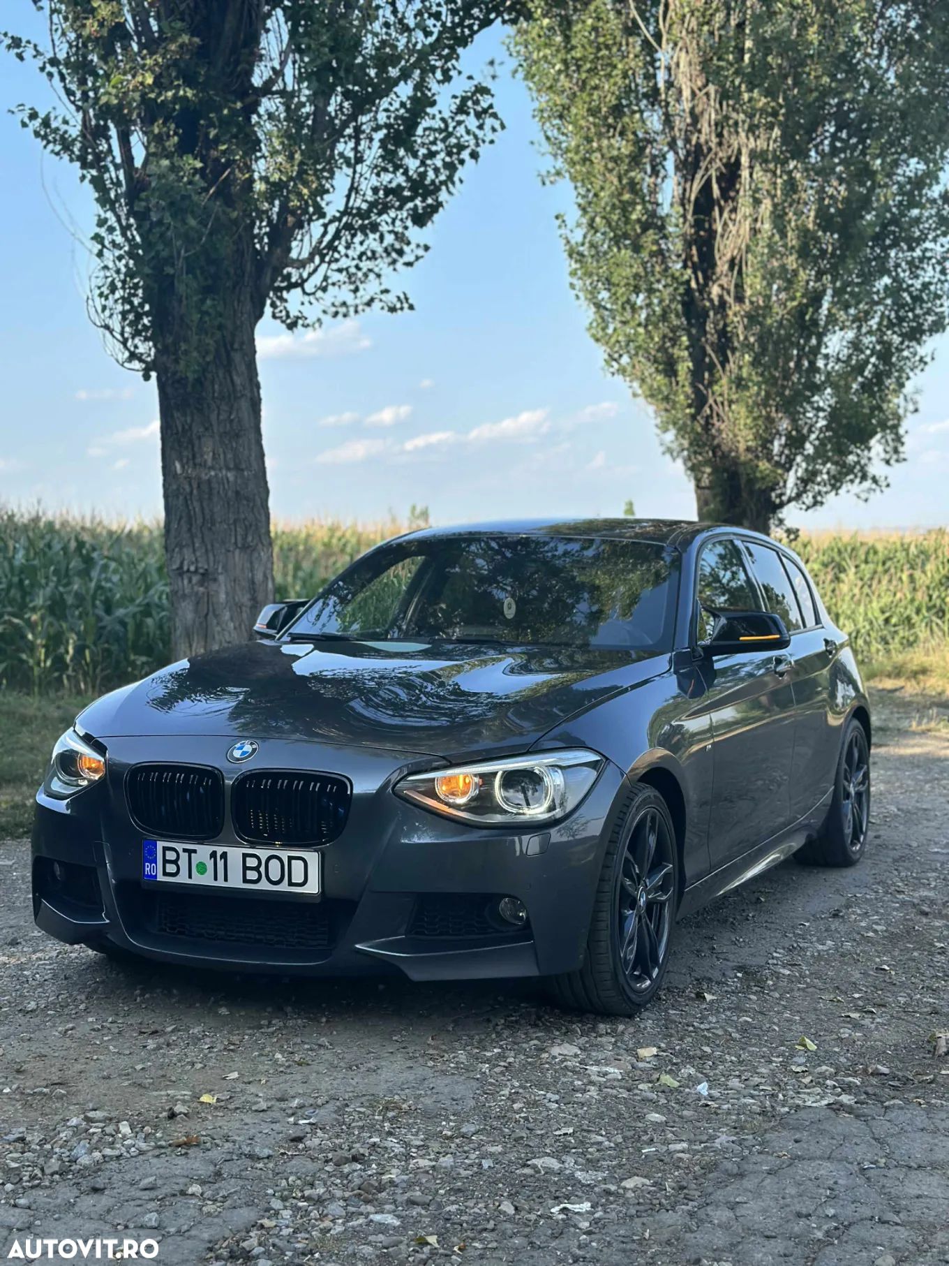 BMW Seria 1 116i - 1