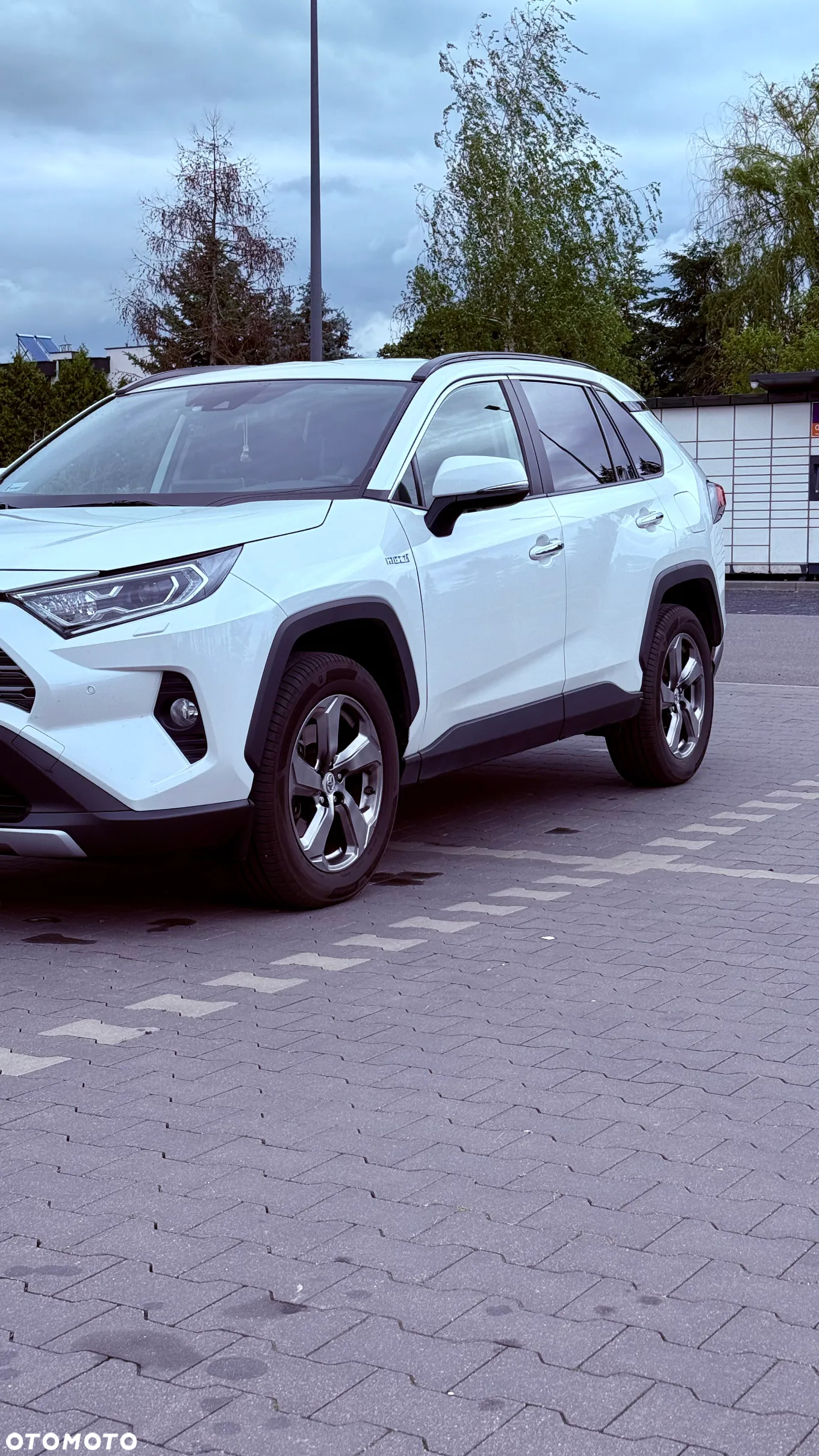 Toyota RAV4 2.5 Hybrid Executive 4x2 - 4