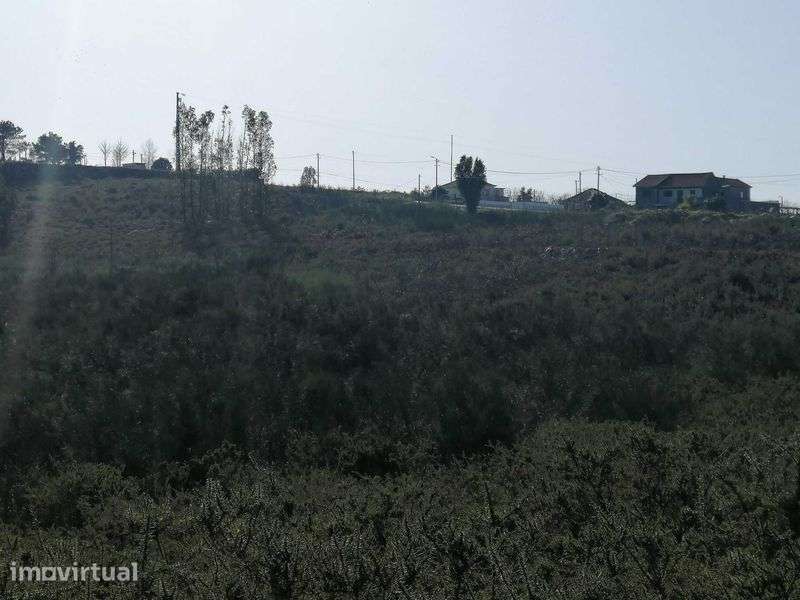 TERRENO PARA VENDA 95.656m2 Zona Industrial de Lustosa Lousada - Grande imagem: 2/5