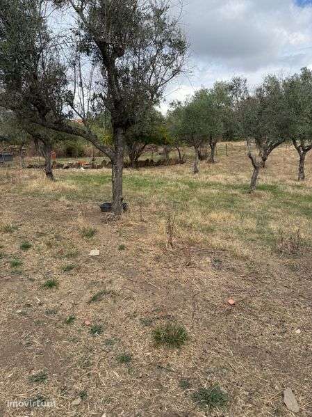 Terreno em maxiais - Grande imagem: 5/5