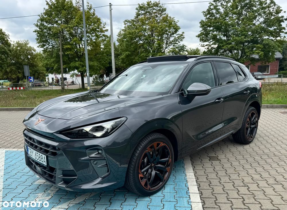 Cupra Terramar 2.0 TSI 4Drive VZ DSG - 10