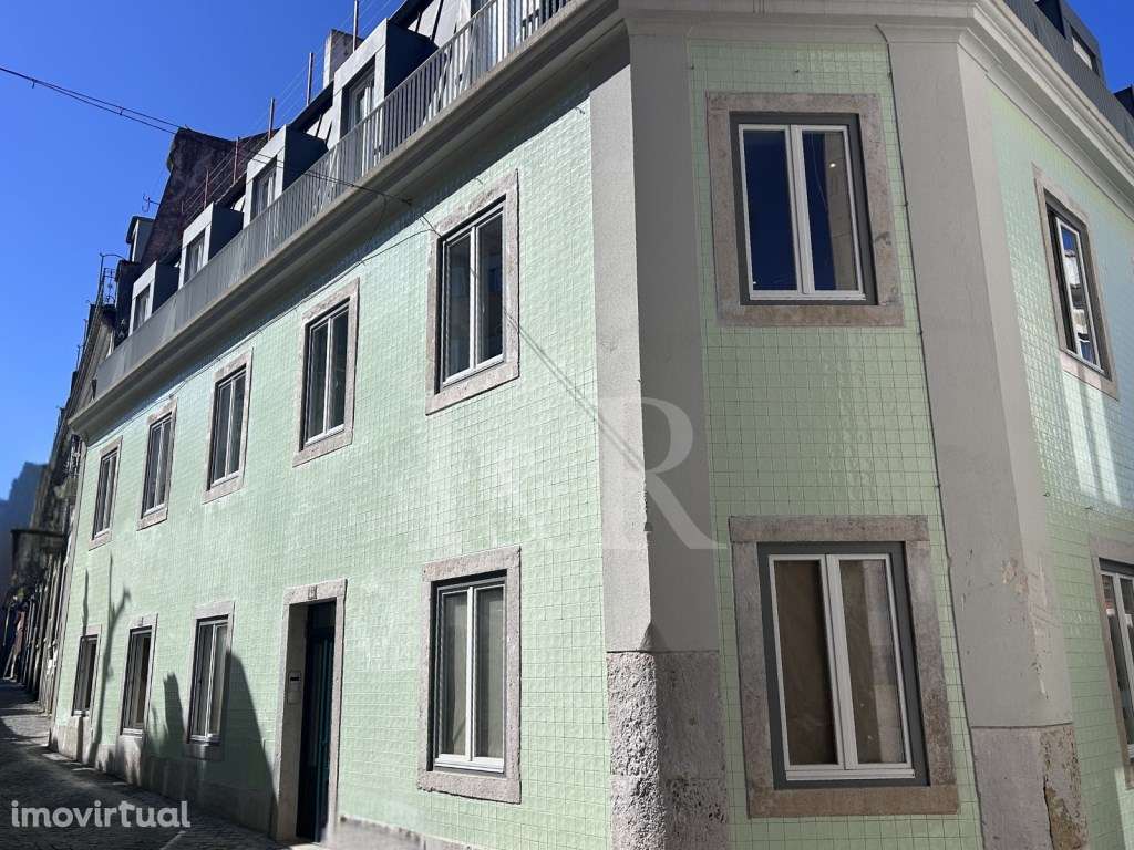 Mt Premier Laurel Príncipe Real - Grande imagem: 2/19