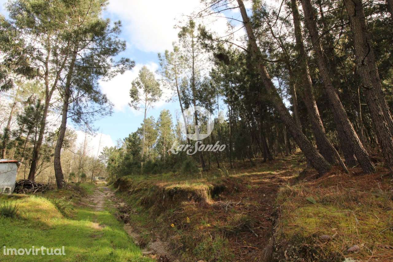 Terreno Nespereira Celorico de Basto - Grande imagem: 3/20