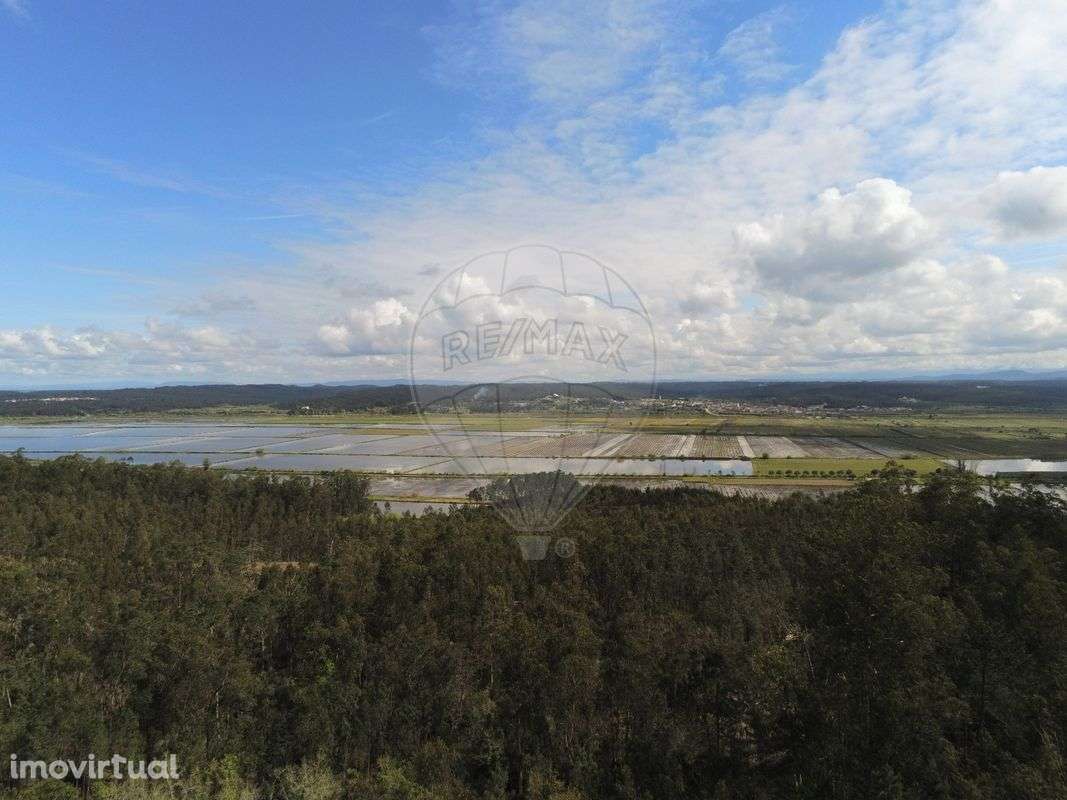 Terreno  para venda - Grande imagem: 2/3