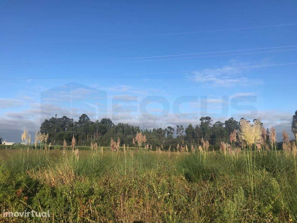 Terreno para construção - Estarreja - Grande imagem: 3/8