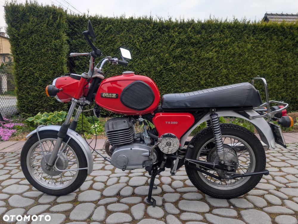 MZ TS - 1