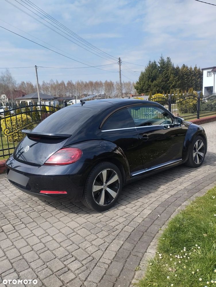 Volkswagen Beetle - 3