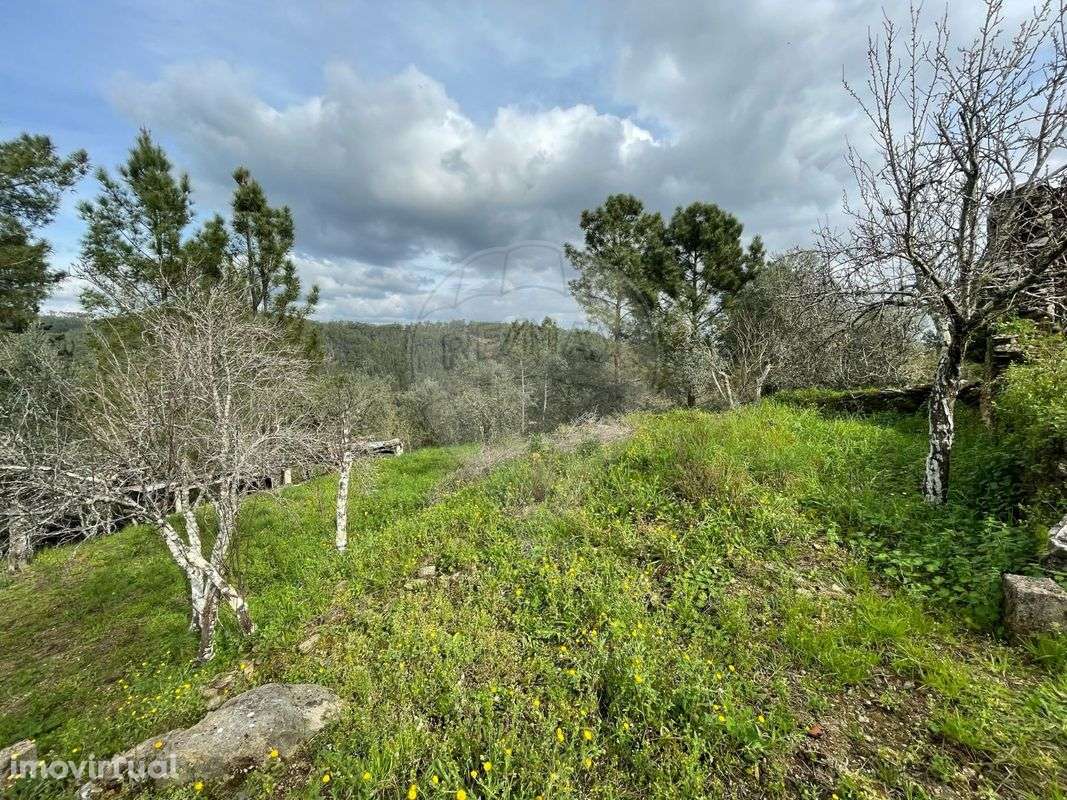 Terreno  para venda - Grande imagem: 2/11