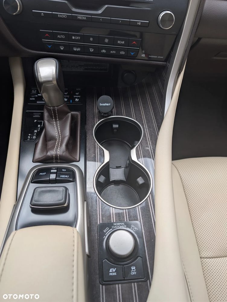 Lexus RX - 13