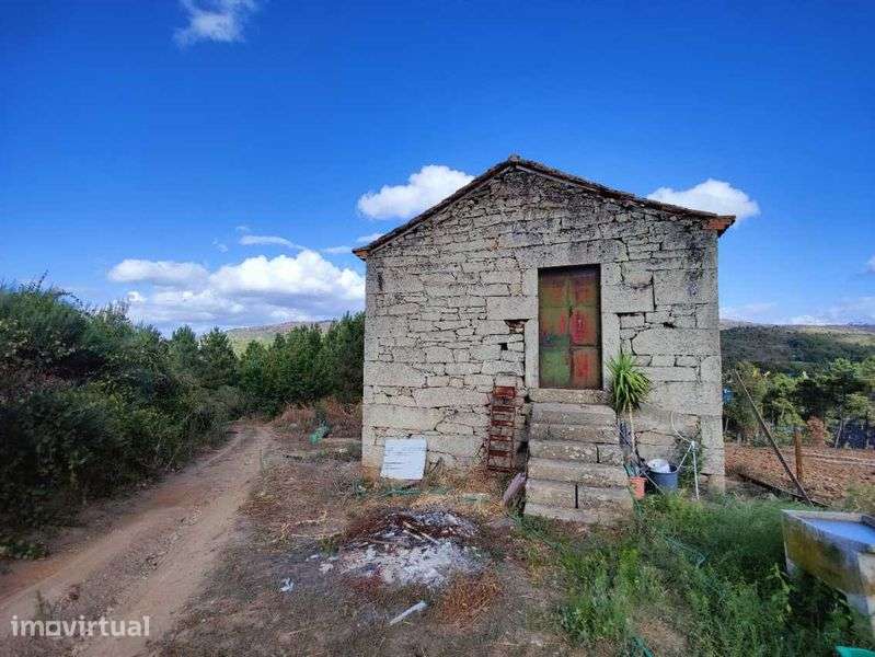 Terreno agrícola e de construção-Barragem do Vilar-Moimenta da Beira - Grande imagem: 5/10