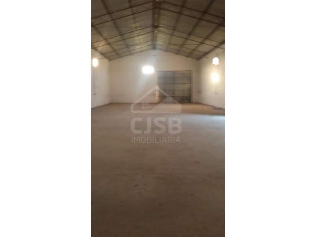 Terreno em Benavente - Grande imagem: 3/3