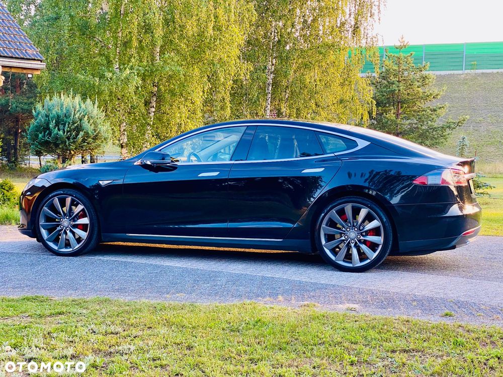 Tesla Model S Performance - 19