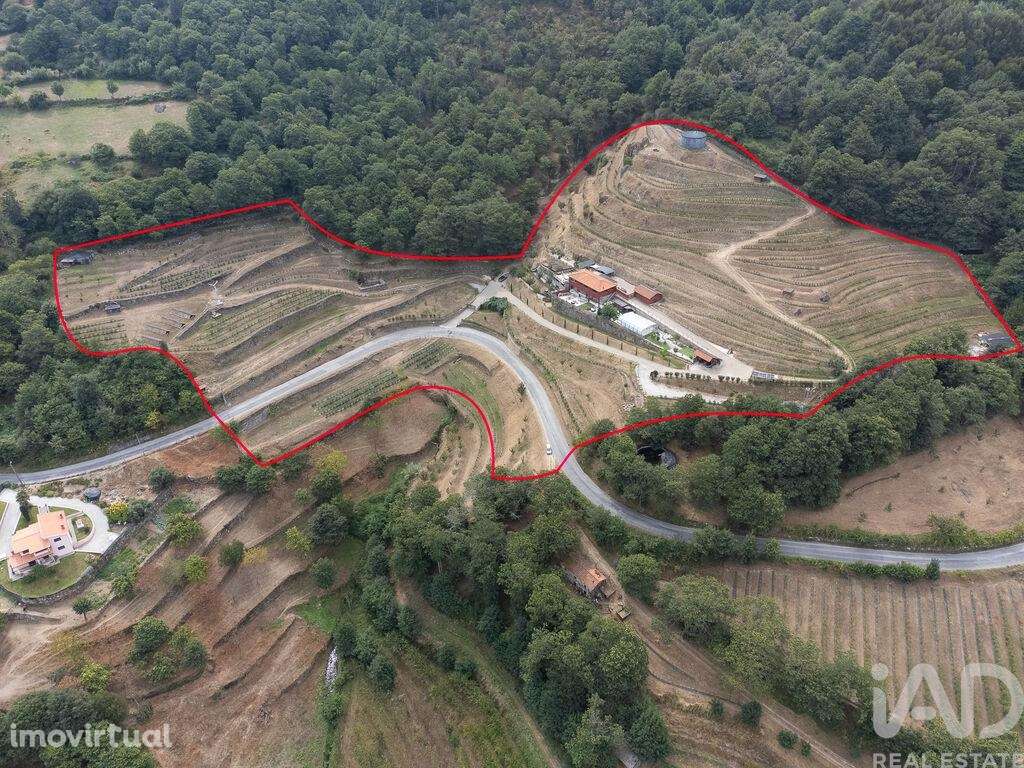 Quinta T6 em Anreade e São Romão de Aregos de 400,00 m2 - Grande imagem: 3/29