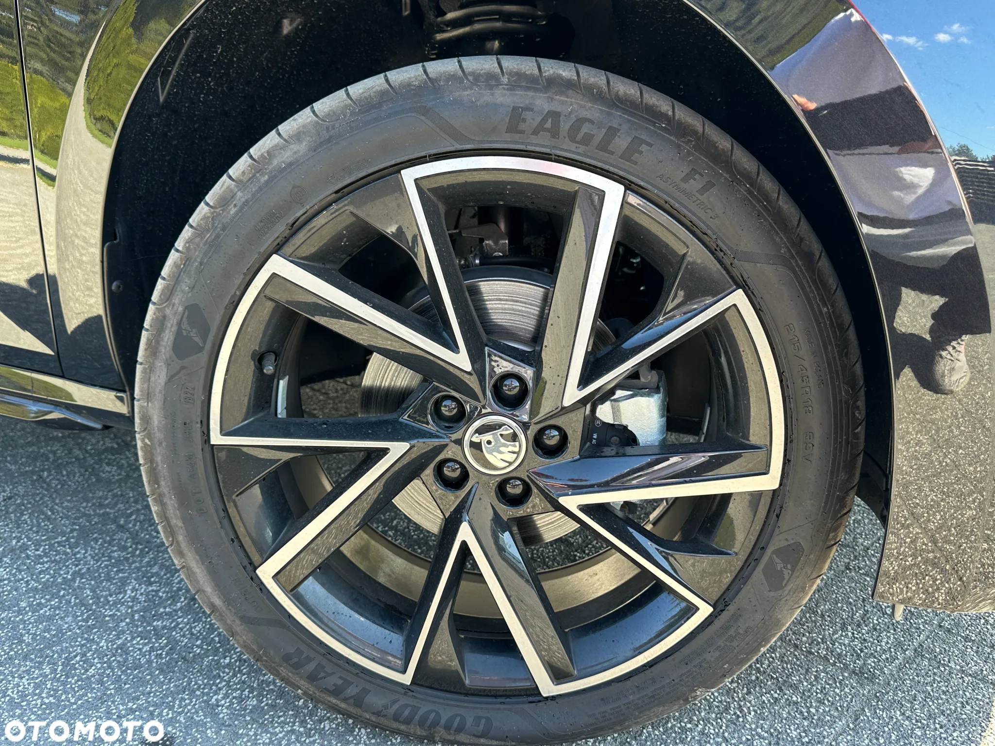 Skoda Kamiq 1.0 TSI Monte Carlo DSG - 5
