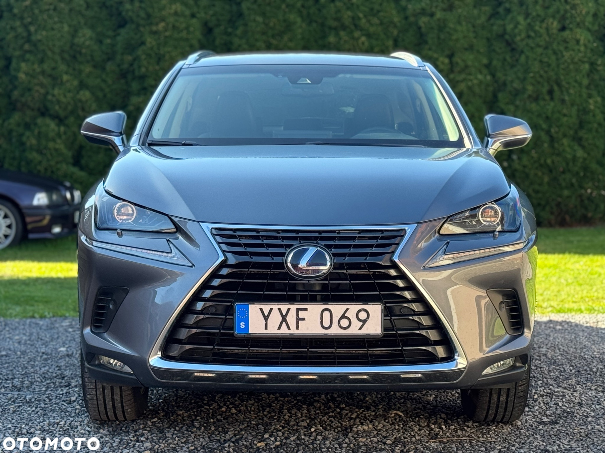 Lexus NX 350h F Sport AWD - 7