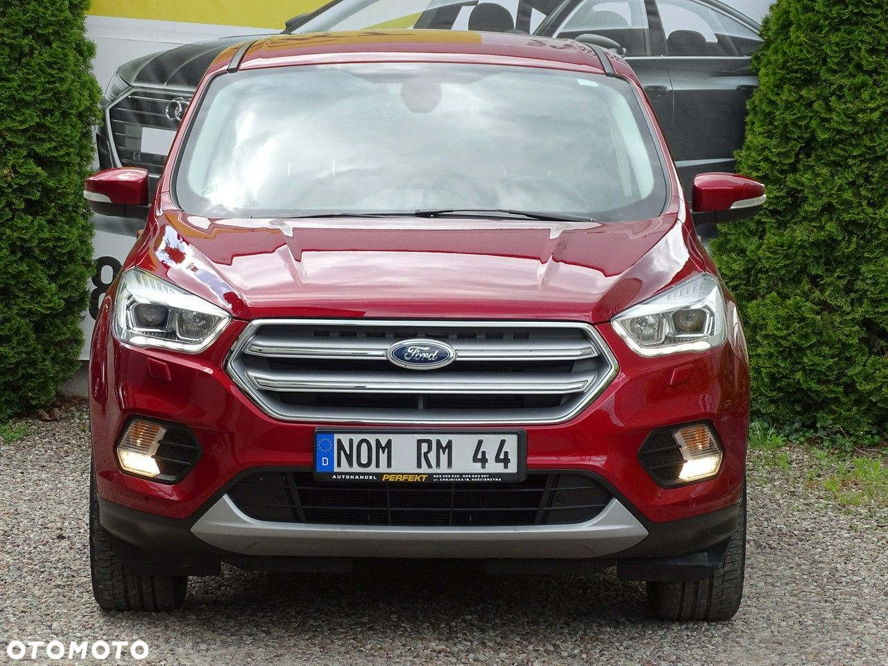 Ford Kuga - 5