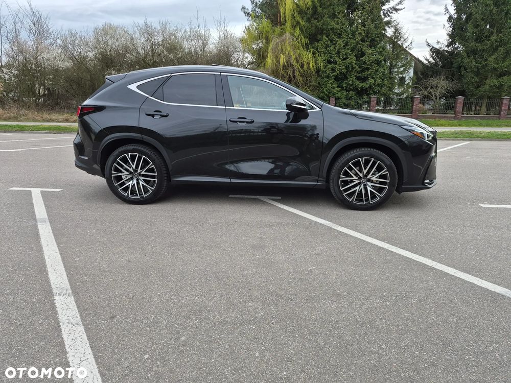 Lexus NX 350h Omotenashi AWD - 4