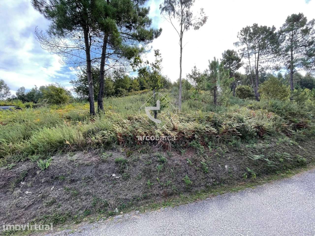 Terreno Florestal para venda em Ázere Arcos de Valdevez - Grande imagem: 3/5