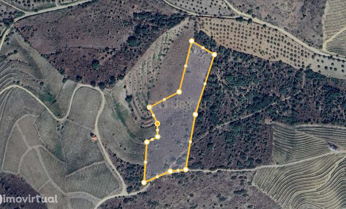 Terreno Rústico em Vila Nova de Foz Côa - Grande imagem: 3/4