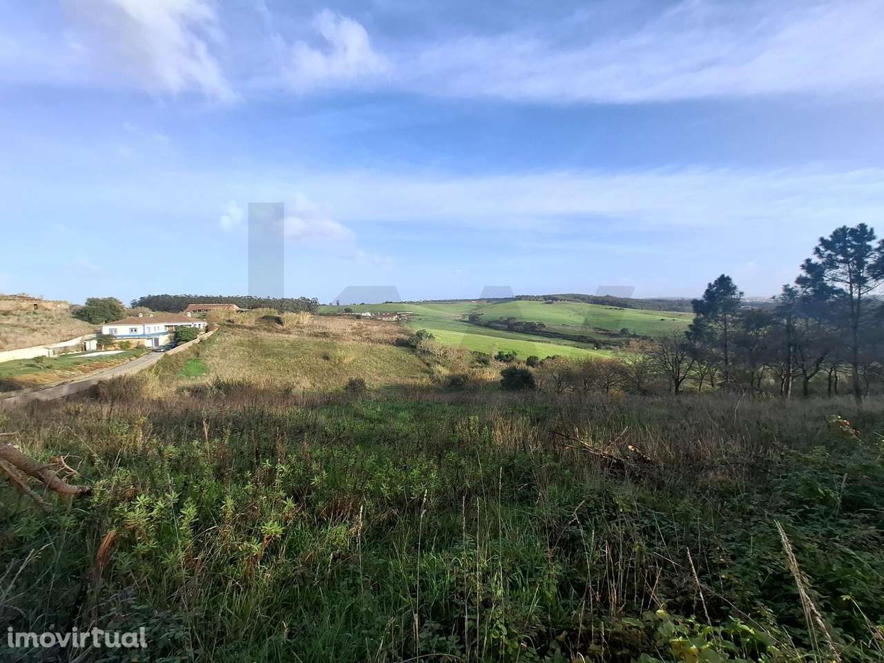 Oportunidade Única em Santo Isidoro: Terreno de 7.874 m2 com Elevado P - Grande imagem: 3/20