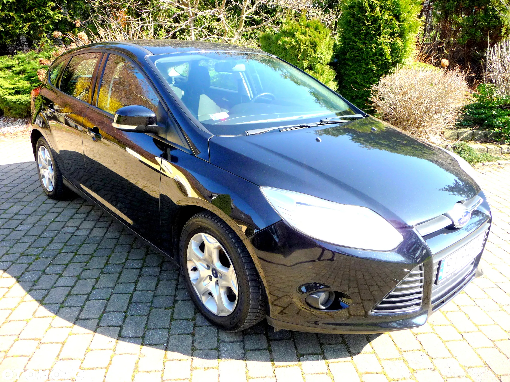 Ford Focus 1.6 TDCi Trend - 25