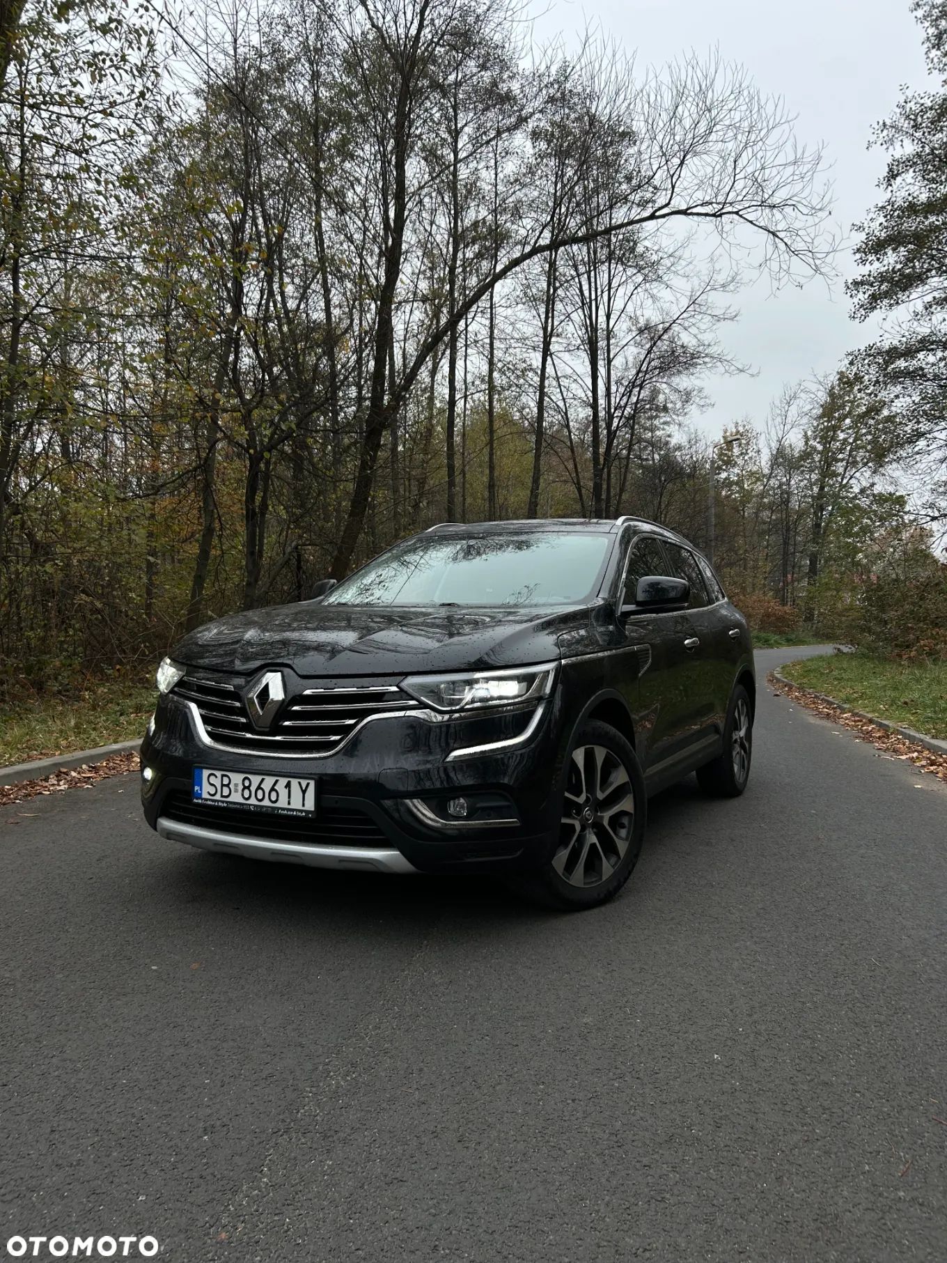 Renault Koleos 2.0 dCi Intens 4x4 X-Tronic - 1