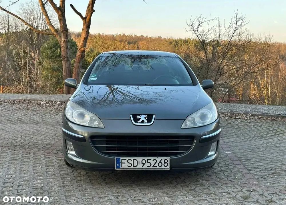 Peugeot 407 2.0 HDi Premium - 10
