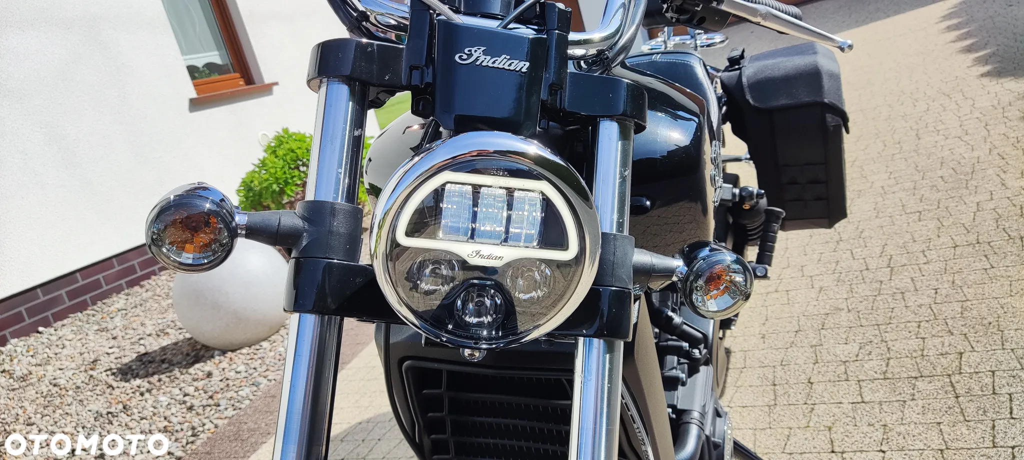 Indian Scout - 8