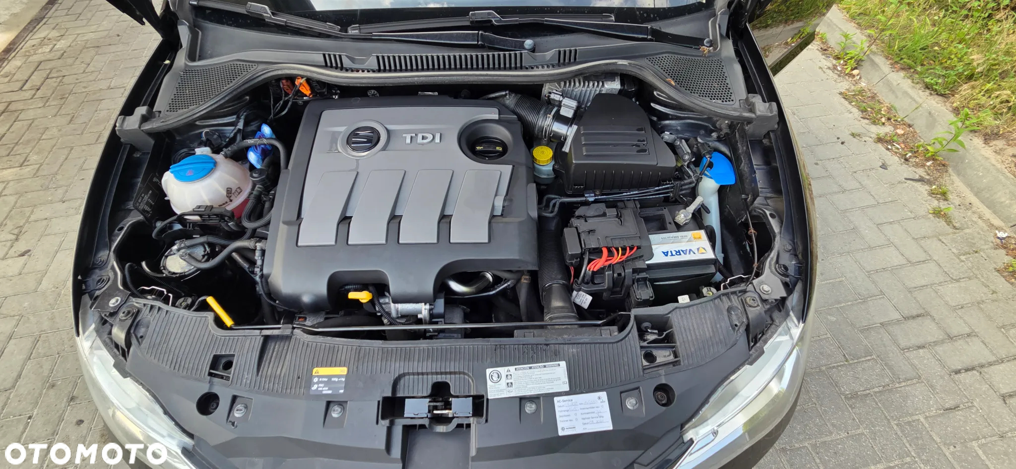 Seat Ibiza 1.6 TDI CR SUN - 39