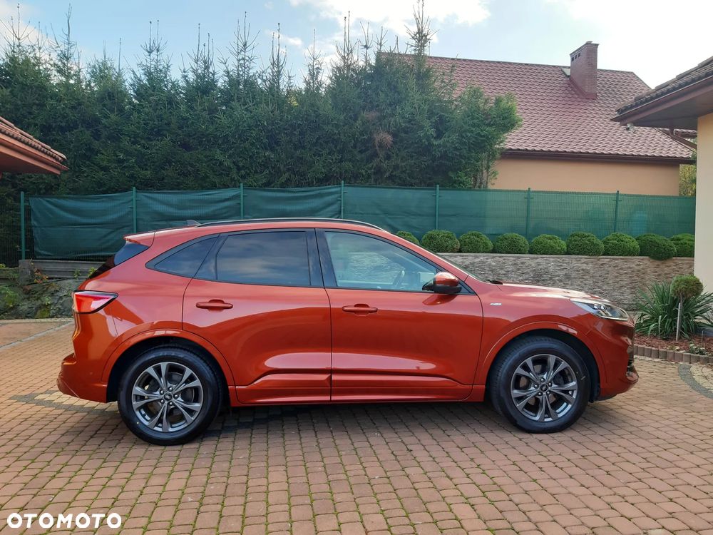 Ford Kuga 2.0 EcoBlue 4x4 ST-LINE X - 5