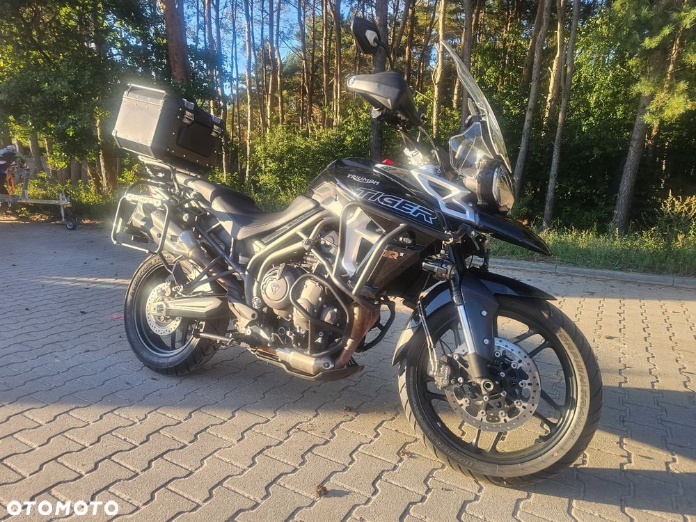 Triumph Tiger - 2