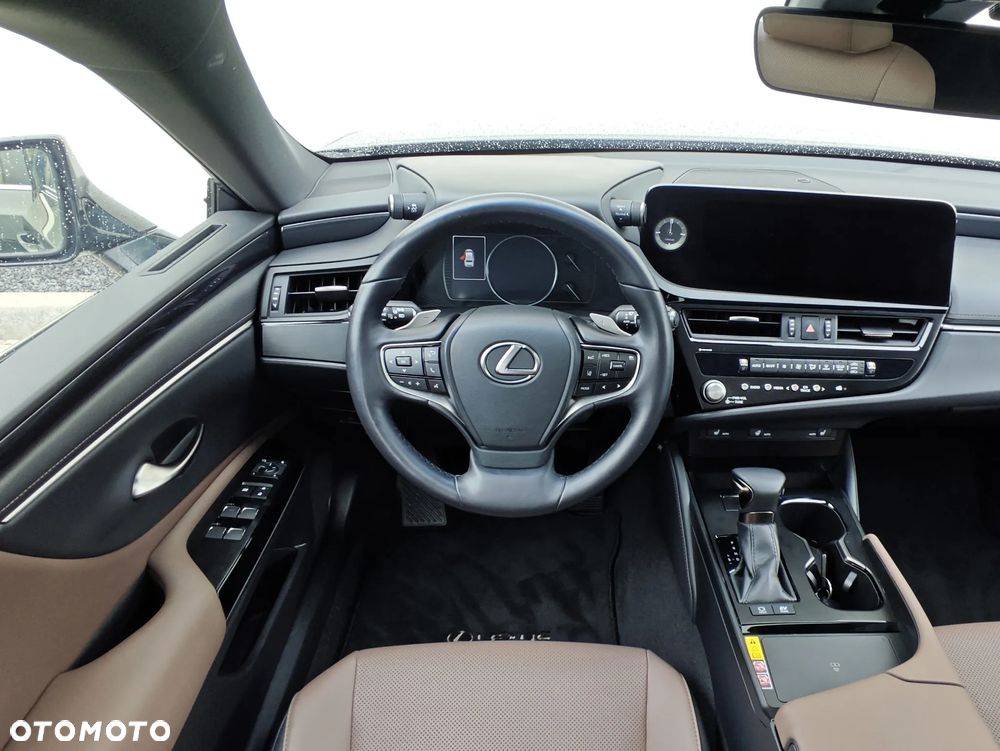 Lexus ES 300h F Sport Design - 16