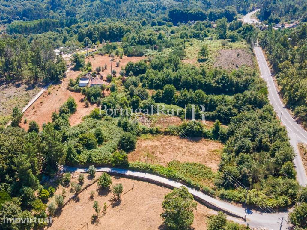 Quinta de 3 hectares com casa para recuperar - Grande imagem: 2/43