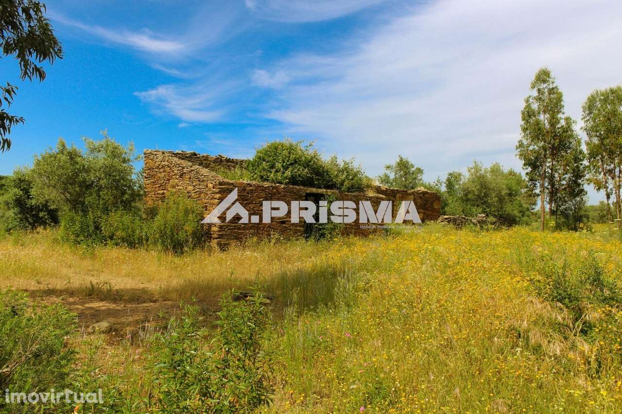 Quinta para Venda em União de Freguesias de Escalos de Baixo e Mata - Grande imagem: 4/18