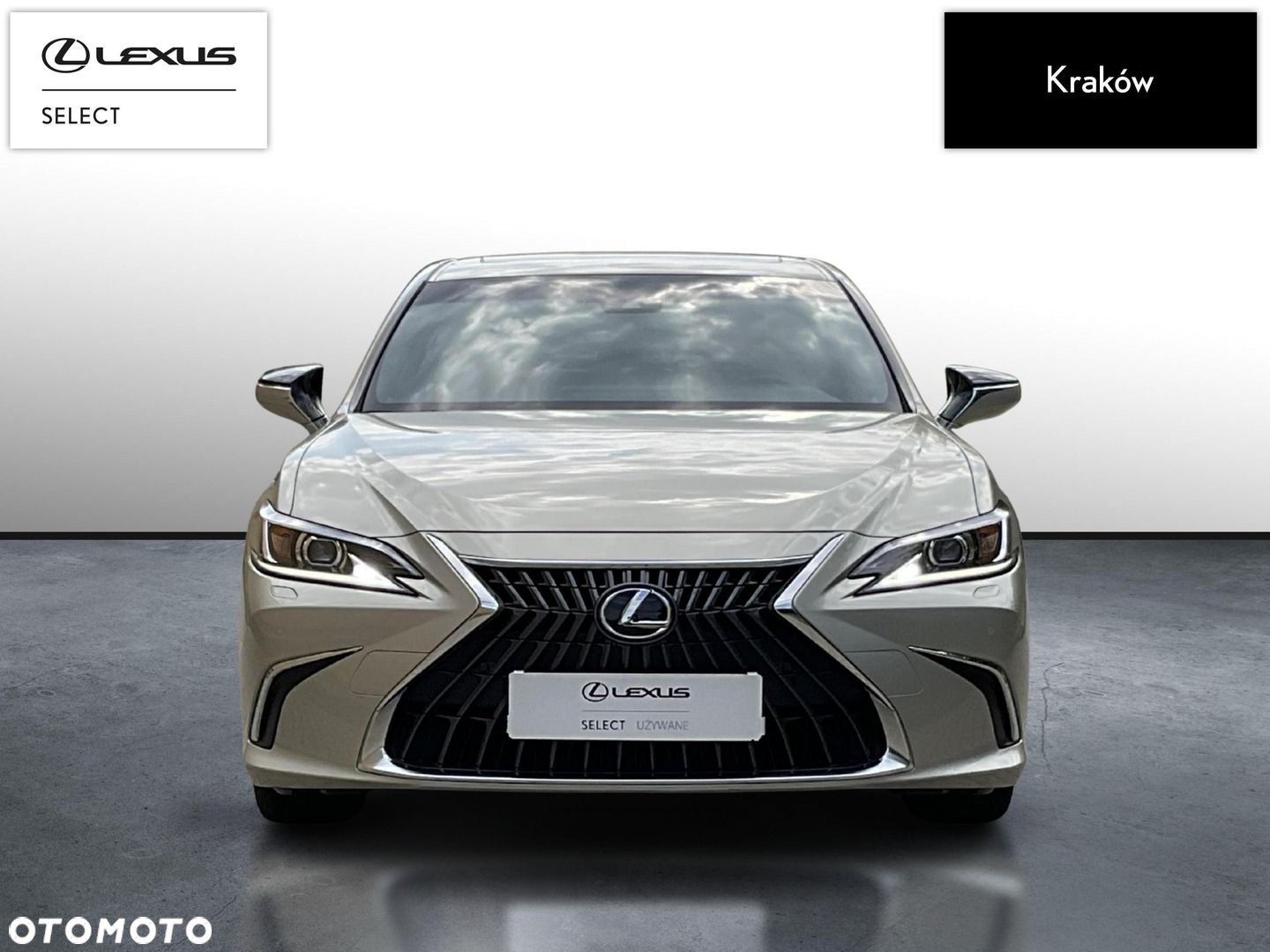 Lexus ES 300h Business Edition - 8